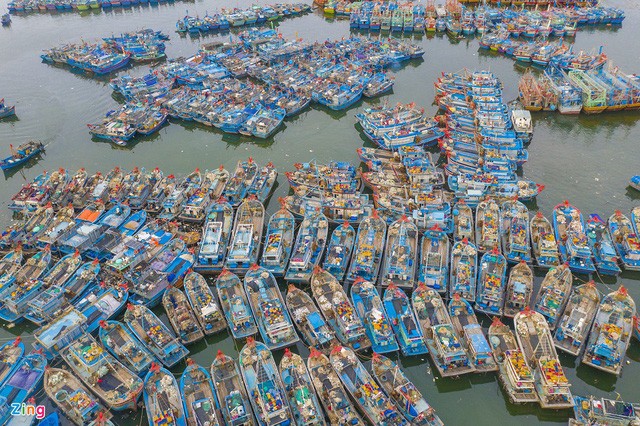 Hơn 1.200 tàu thuyền của ngư dân các tỉnh miền Trung đã vào Âu thuyền Thọ Quang tránh bão số 13. Ảnh: Zing
