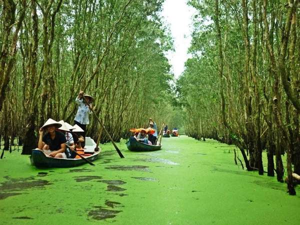 Gợi ý những địa điểm du lịch quanh năm xanh mát nằm sát Sài Gòn