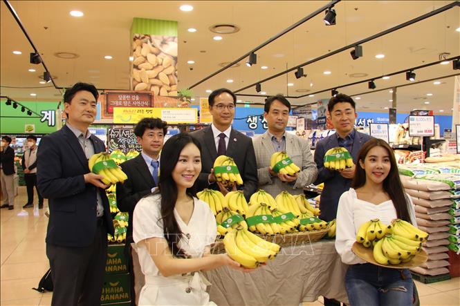 Chuối Việt Nam được xem là sản phẩm ưa chuộng tại Hàn Quốc. Ảnh: TTXVN