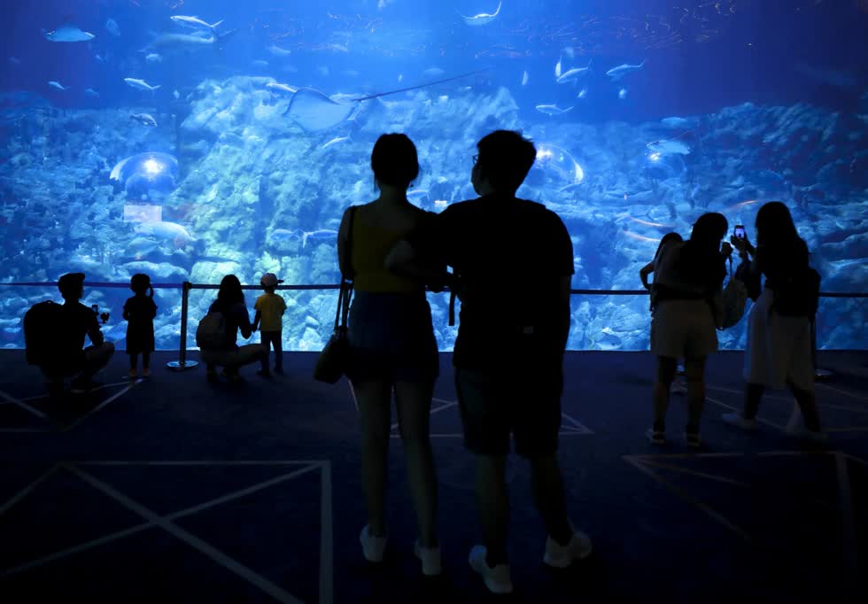 Du khách tham quan tại The Grand Aquarium, Ocean Park.