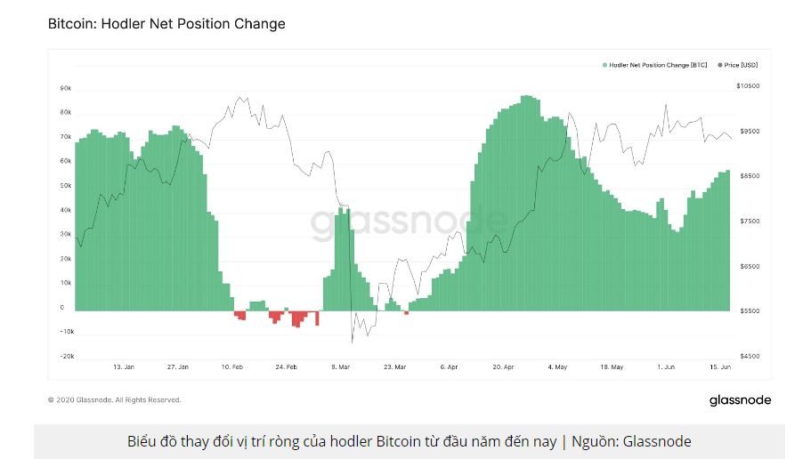 Bitcoin ở mức 9.300 USD, số lượng cá voi tăng lên