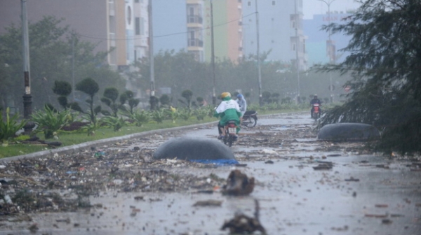  Đường phố Đà Nẵng sau cơn bão lịch sử Xangsane. Ảnh: Tuổi Trẻ