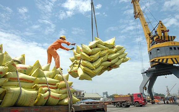 Cơ hội xuất khẩu gạo Việt sang thị trường Australia