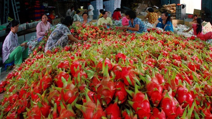 Hoa Kỳ là thị trường xuất khẩu lớn nhất của nông sản Việt. Ảnh minh họa