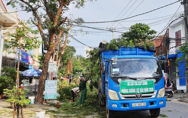   TP. Đà Nẵng khẩn trương cắt tỉa cây xanh để phòng chống bão. Ảnh: TTXVN.  