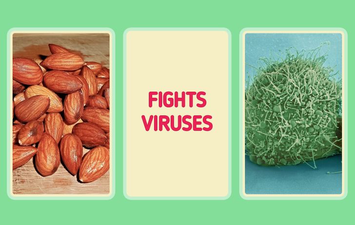 10 loại thực phẩm có thể tăng cường miễn dịch của bạn một cách tự nhiên