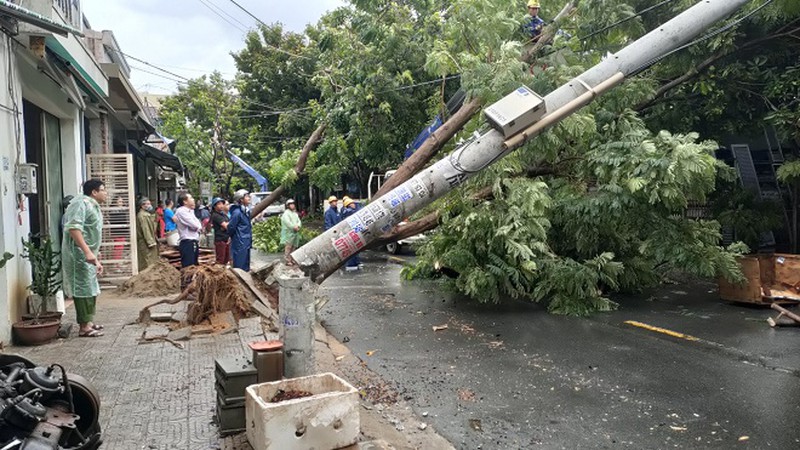 Cây xanh và trụ điện bị gãy đổ sau bão số 5 ở Đà Nẵng. Ảnh: PLVN