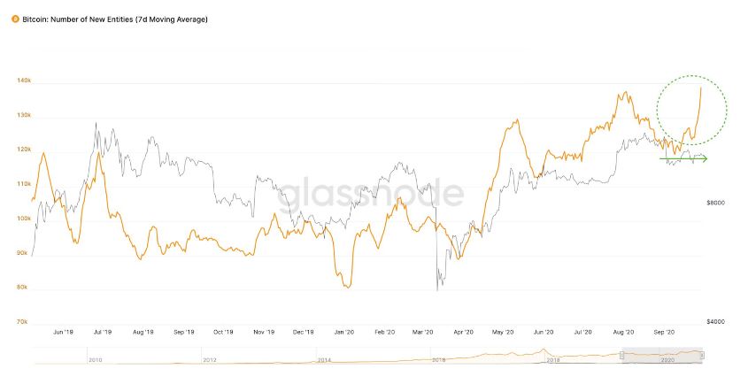 Bitcoin: Số lượng thực thể mới so với giá. Nguồn: Glassnode.