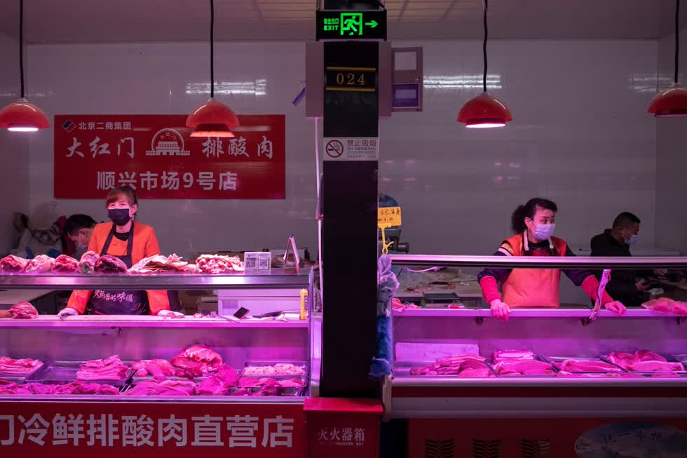 Trung Quốc cần tái đàn nhanh chóng trước khi đón một cái Tết thiếu vắng thịt heo như năm ngoái. Ảnh: WSJ