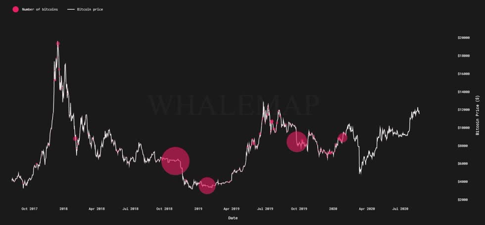 Số Bitcoin do một con cá voi nắm giữ. Nguồn: Byzantine General , Whalemap.