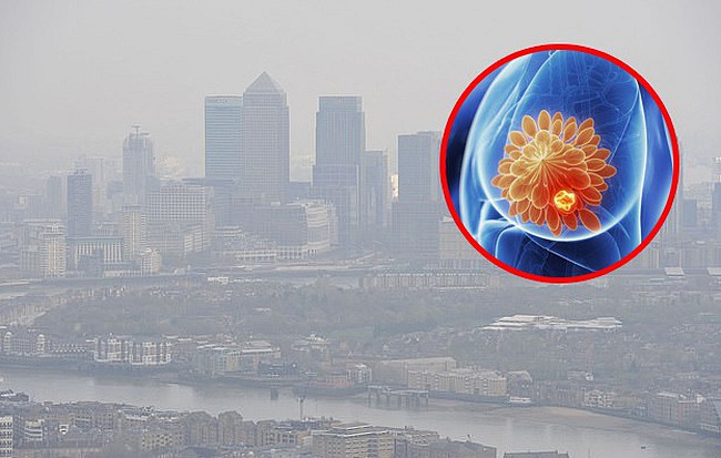 Ô nhiễm không khí làm tăng nguy cơ ung thư vú?