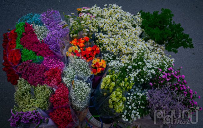 Mùa cúc họa mi thường rất ngắn, chỉ trong khoảng vài tuần từ khi hoa nở rộ. Để có những bộ ảnh đẹp với hoa, sự lựa chọn phổ biến nhất với du khách là áo dài trắng hoạc váy và đi đến các địa điểm nổi tiếng tại Hà Nội.