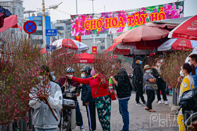 Ghi nhận của PV PNM, chợ hoa Quảng An, Tây Hồ đã bày bán các loại đào và hoa nhiều ngày qua phục vụ người dân mua sắm đào chơi tết Nhâm Dần 2022.