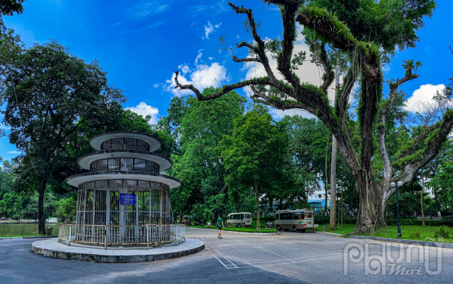 Hơn 130 năm, công viên Bách Thảo là địa chỉ bảo tồn nhiều nguồn thực vật quý của cả nước. Không chỉ vậy đây còn là điểm đến, điểm tham quan được không chỉ người dân Hà Nội mà cả du khách nơi khác ghé thăm khi tới du lịch Thủ đô.