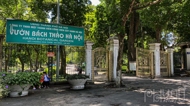 Công viên Bách Thảo một nơi gắn bó với nhiều người dân ở Hà Nội. Công viên được người Pháp xây từ năm 1890 với mục đích duy trì, bảo tồn và phát triển các nguồn cây quý của Việt Nam. Ngày mới xây dựng, công viện có diện tích tới 33 ha. Đến nay, khu vực này được quy hoạch chỉ còn khoảng trên 10 ha.