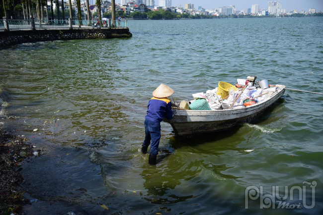 Công nhân vớt xác cá chết đầy thuyền dời đi