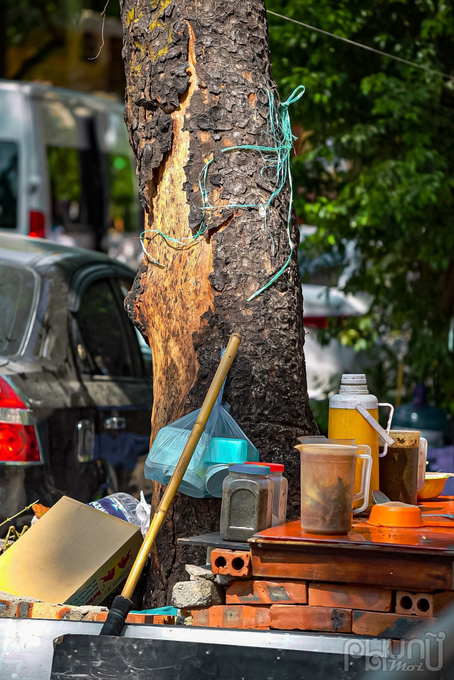 Cây xanh trên đường Trần Thánh Tông bị quán trà đá chiếm dụng đun bếp dưới gốc cây, hắt đổ nước nóng và đủ thứ vào gốc cây.