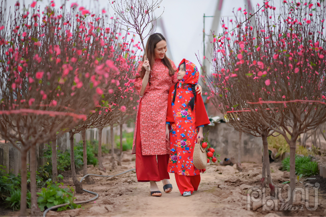 Đào Nhật Tân nở hoa rực rỡ khoe sắc tạo nên một không gian tràn ngập sắc màu, cũng vì thế mà đây trở thành một điểm chụp ảnh Tết không thể bỏ qua đối với nhiều người.