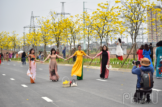 Con đường cây phong linh dài khoảng 500m, người dân có thể tự do vào tham quan và vui chơi
