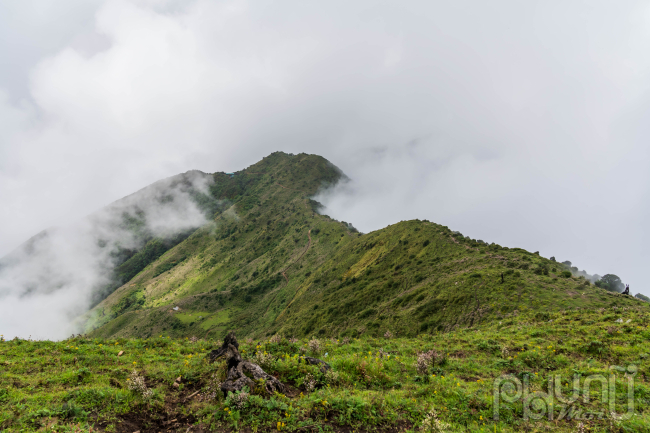 Tà Chì Nhù xếp thứ 7 trong top 10 ngọn núi cao nhất Việt Nam - một trong những địa điểm săn mây lý tưởng hay còn được gọi với cái tên 