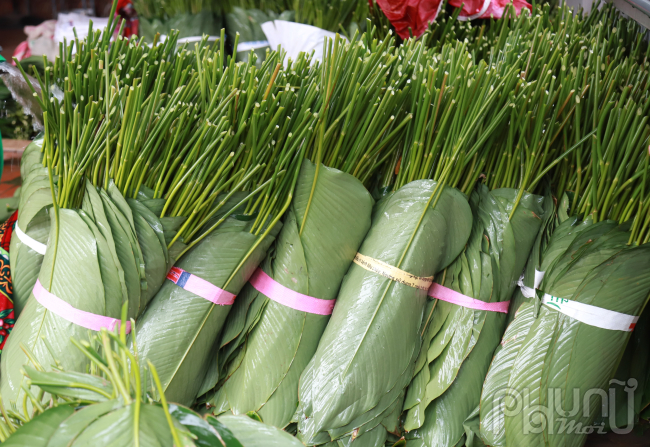 Mỗi dịp Tết đến, Xuân về, trên những mâm cỗ cúng gia tiên ở mỗi gia đình Việt không thể thiếu những chiếc bánh chưng xanh. Lá dong góp phần gìn giữ hương vị độc đáo của bánh chưng xanh ngày Tết cổ truyền của dân tộc Việt Nam.