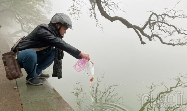 Ngay từ sáng sớm mờ sương nhiều người dân sống gần hồ Hoàn Kiếm mang cá chép đến hồ thả cá tiễn ông Công ông Táo