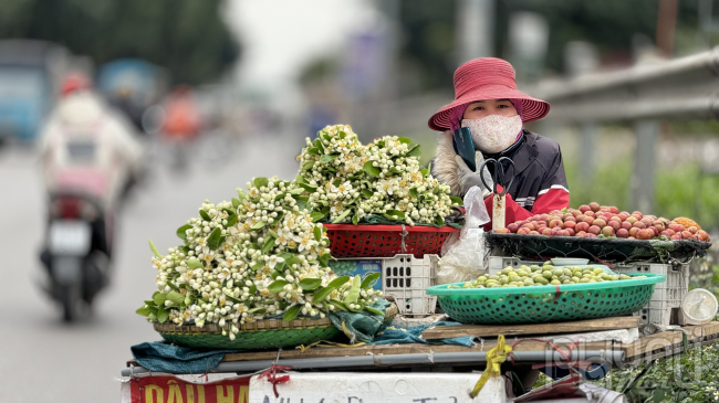 Ghi nhận tại một số tuyến phố ở Hà Nội như Xã Đàn, Phạm Ngọc Thạch, Lê Duẩn... hoa bưởi bắt đầu được rao bán với giá dao động từ 350.000 - 500.000 đồng/kg, còn hoa rời dao động 150.000 - 200.000 đồng/kg.