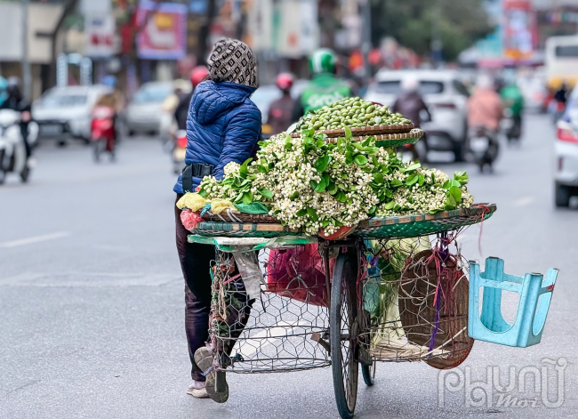 Thời điểm sau Tết Nguyên đán, khi các vườn bưởi ở ven Hà Nội bắt đầu vào mùa tỉa hoa, cũng là thời điểm hoa bưởi bắt đầu theo các gánh hàng dong xuống phố.