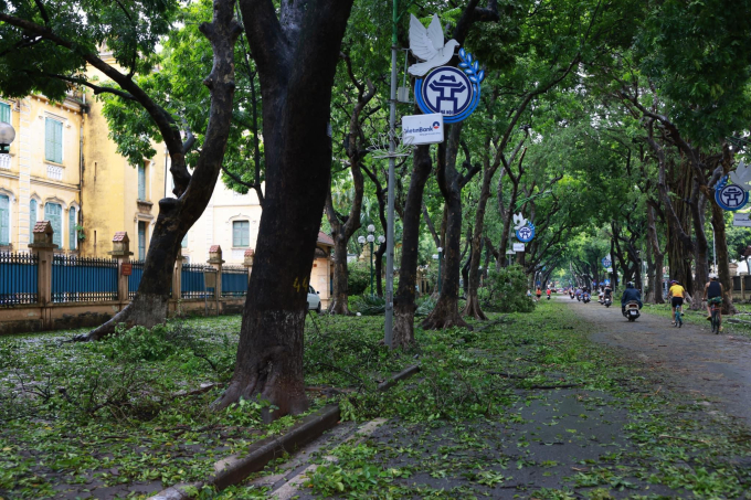 Phố Phan Đình Phùng, một trong những tuyến đường được xem đẹp nhất Hà Nội, hoang tàn khi bão Yagi quét qua