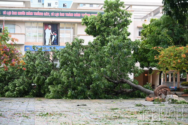 Trường học chịu ành hưởng từ cơn bão