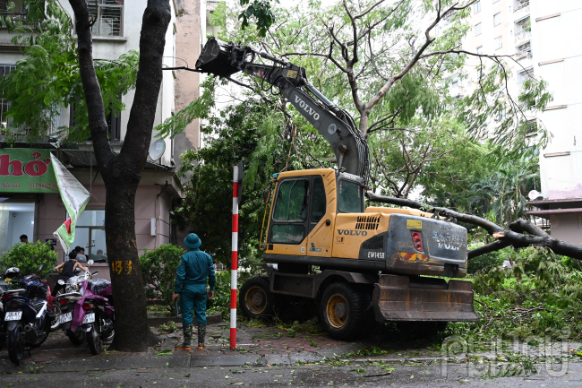 Cơn bão số 3 đi qua địa bàn làm 929 cây gãy đổ. Do ảnh hưởng của mưa bão nên phường Cự Khối đã di dời 8 người khỏi 1 nhà trọ bị tốc mái, UBND phường đã bố trí nơi ở tạm tại Nhà văn hóa tổ dân phố số 4.  