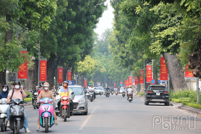 Tuyến đường Lê Hồng Phong cũng rợp sắc đỏ hai bên đường.