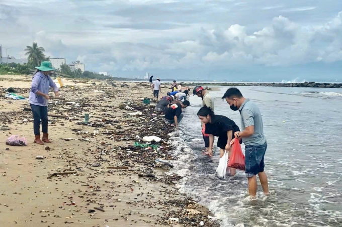 Vẹm dạt vào bờ biển Nguyễn Tất Thành (TP. Đà Nẵng) với số lượng lớn từ ngày 28/10