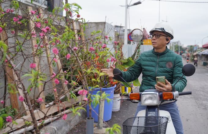 Giá cả của đào và quất năm nay không chênh lệch nhiều so với năm ngoái, cành dao động tùy thuộc vào kích thước và số lượng hoa.