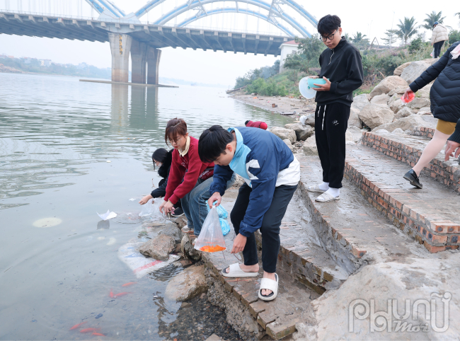 Theo quan niệm dân gian, Táo Quân (gồm ba vị: Thổ Công, Thổ Địa, Thổ Kỳ) là các vị thần cai quản việc bếp núc và các hoạt động trong gia đình. Hằng năm, vào ngày 23 tháng Chạp, các Táo Quân sẽ cưỡi cá chép lên thiên đình để báo cáo với Ngọc Hoàng về những việc làm tốt xấu của gia đình trong năm vừa qua.