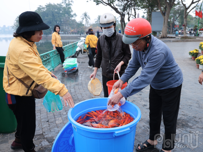 Người dân thả cá tuân thủ quy định lực lượng chức năng yêu cầu