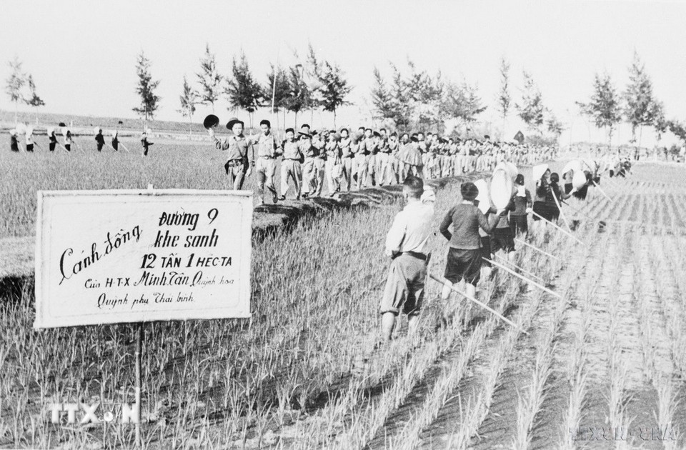 Thanh niên Quỳnh Phụ (Thái Bình) vừa lên đường ra mặt trận, vừa tích cực thi đua, tham gia sản xuất. (Ảnh: TTXVN)