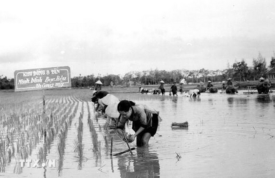 Tinh thần của phong trào 