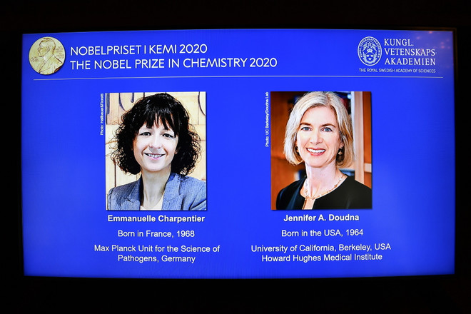 Chân dung hai nhà khoa học nữ Emmanuelle Charpentier (trái, người Pháp) và Jennifer A. Doudna (người Mỹ) đoạt giải Nobel Hóa học 2020 trong cuộc họp báo công bố giải Nobel ở Stockholm, Thụy Điển ngày (Ảnh: AFP/TTXVN)
