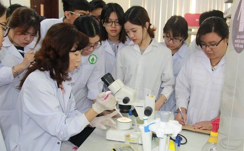 Trao quyền cho đại học trong tuyển dụng và đãi ngộ nhân tài khoa học. Ảnh minh họa: ITN