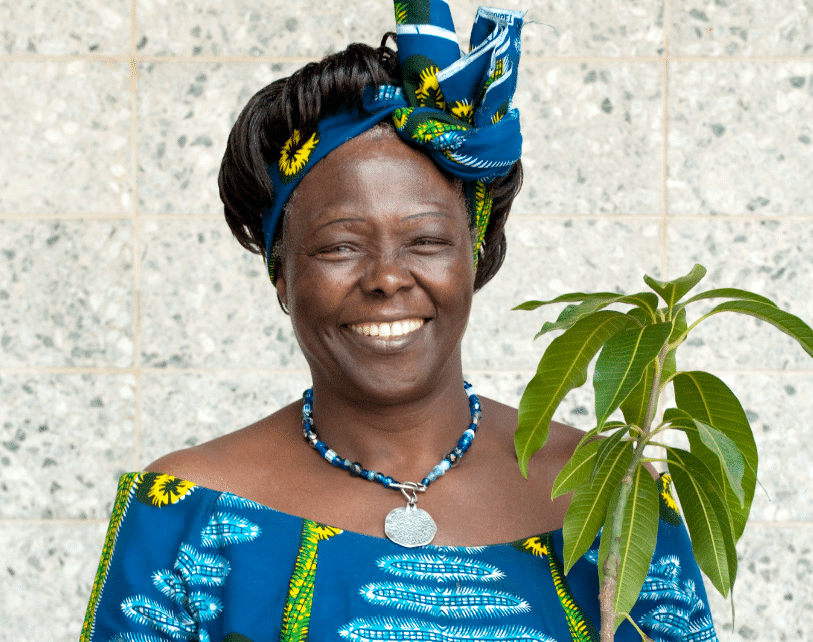 Wangari Maathai sáng lập Phong trào Vành đai Xanh. Ảnh: ITN