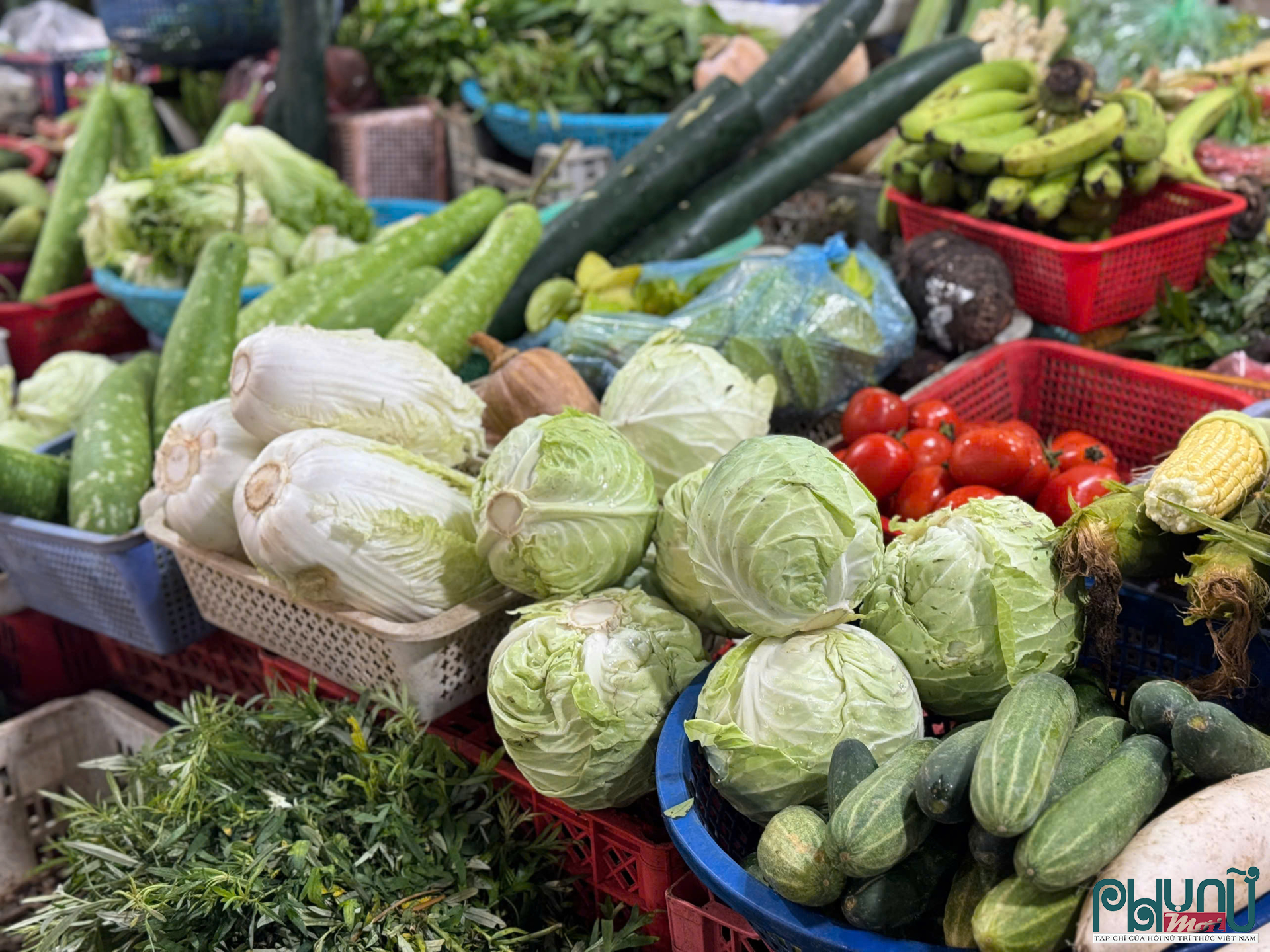 Cà chua, dưa chuột, su hào, cải bắp đều đội giá từ 50 – 100%.