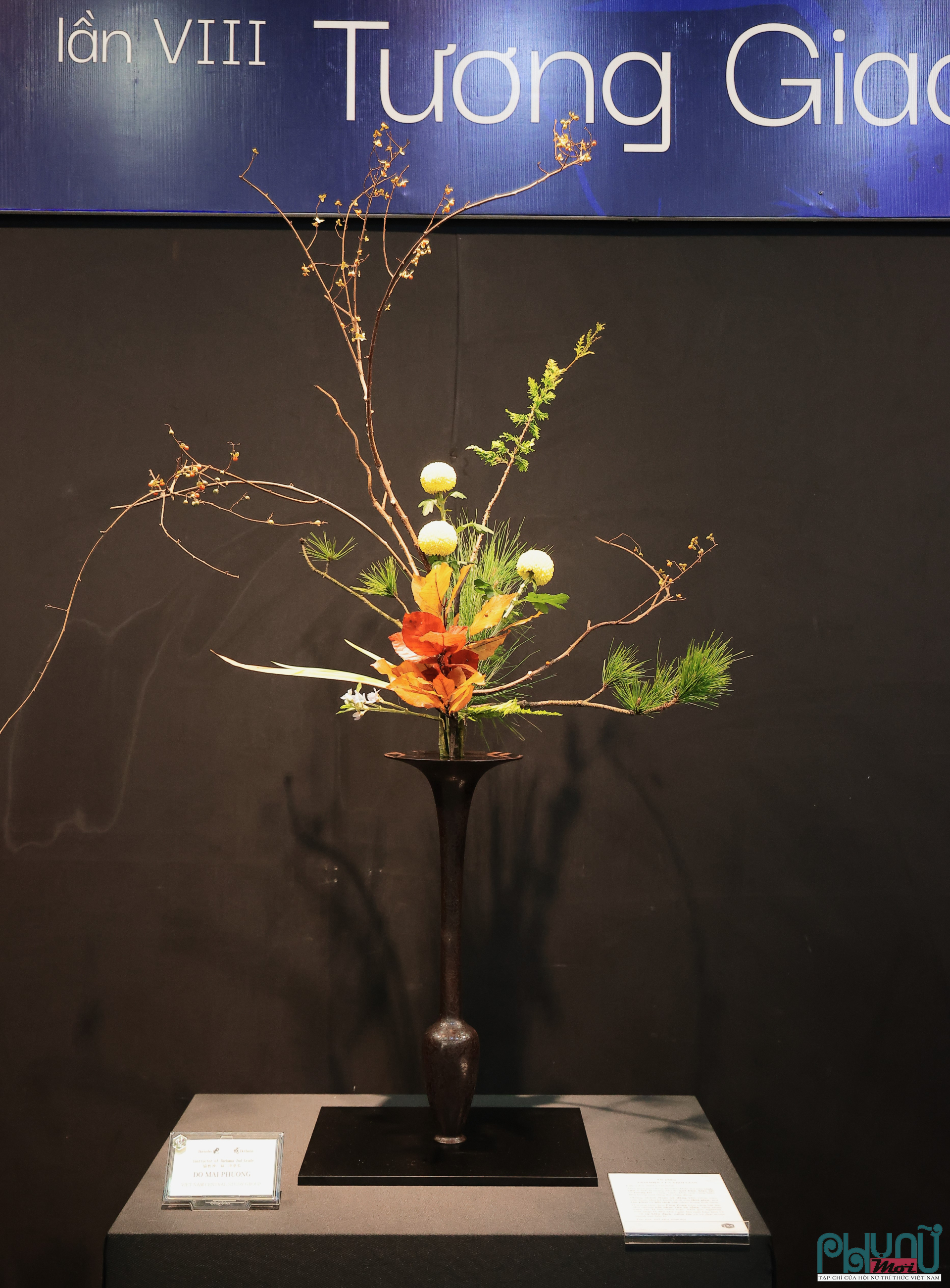 Triển lãm Ikebana Hà Nội lần thứ VIII: “Tương giao” – Cuộc đối thoại giữa cỏ cây và tâm hồn