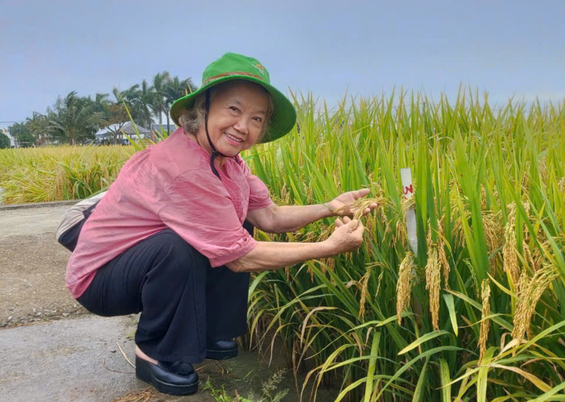 PGS.TS.NGND. AHLĐ Nguyễn Thị Trâm, là nhà giáo, nhà chọn giống lúa lai nổi tiếng của Việt Nam