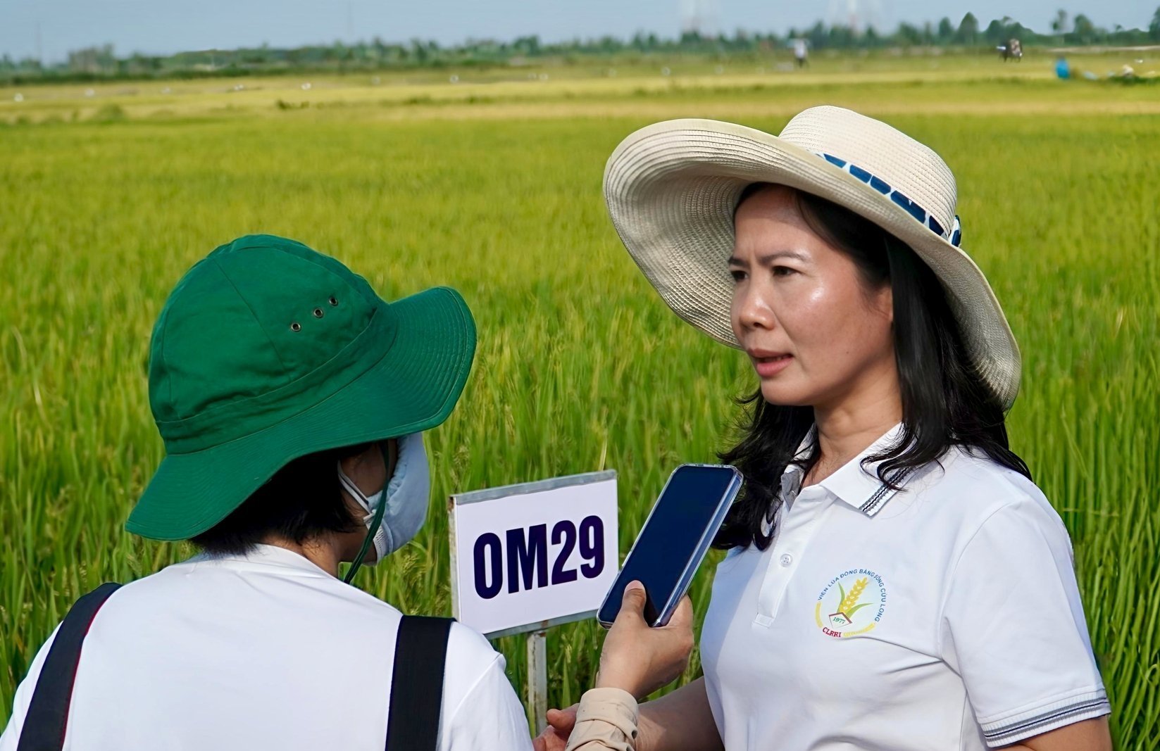 TS Nguyễn Thúy Kiều Tiên trả lời phỏng vấn về công tác nghiên cứu, chọn tạo giống lúa. Ảnh: Kim Anh
