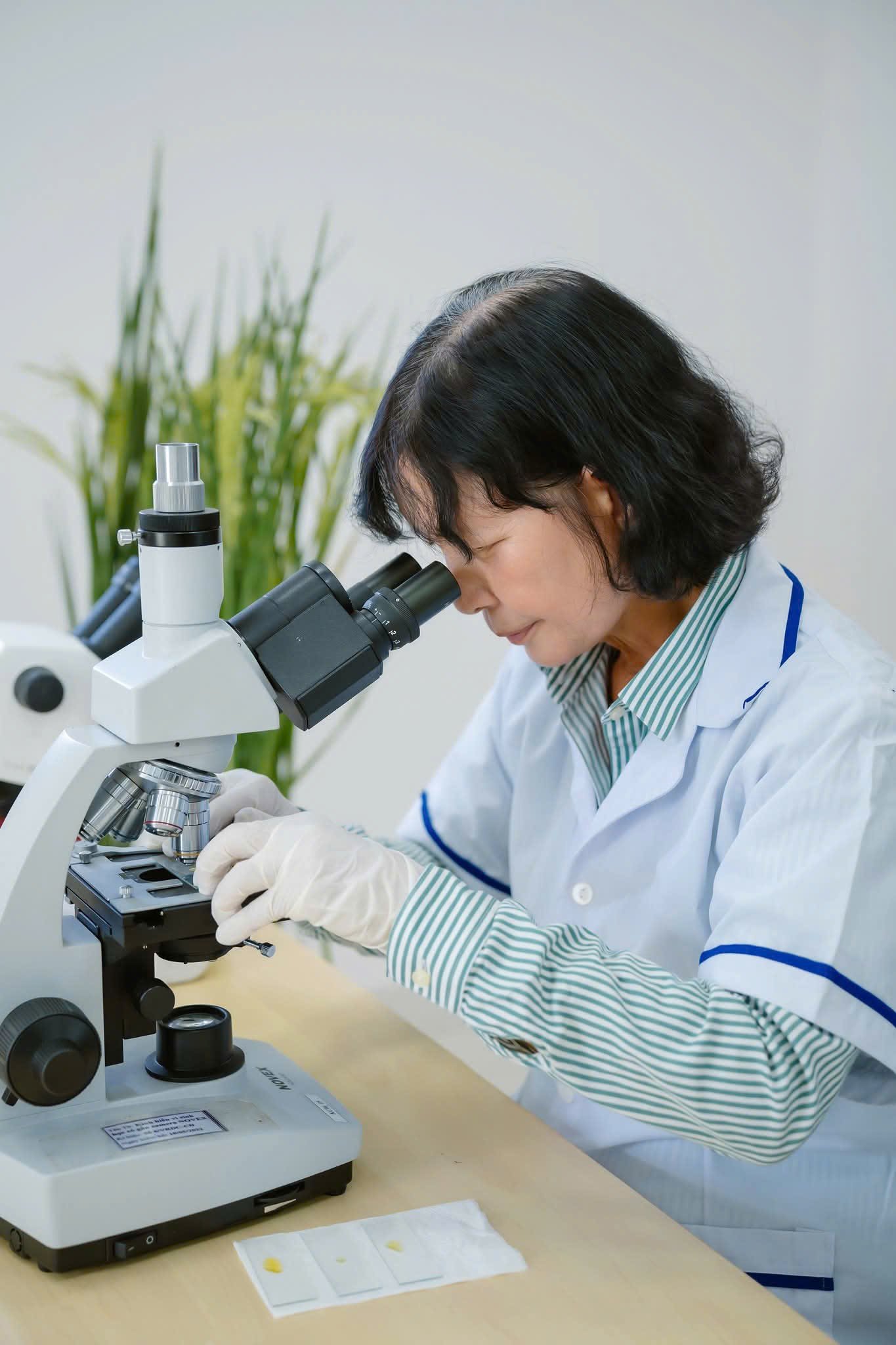 Kỹ sư Bạch Thị Vững miệt mài trong phòng thí nghiệm. Ảnh: NVCC