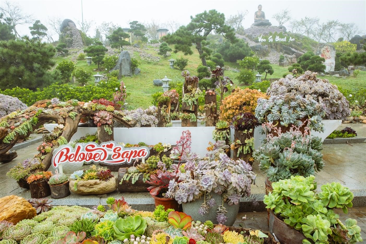 Ngay khi bước chân vào Vườn An Nhiên ở khu vực Ga đi cáp treo, du khách đã ngay lập tức bị cuốn hút vào một không gian nghệ thuật thị giác sống động, được tạo tác từ hàng ngàn sắc sen đá bung nở trên nền đá, tre, gỗ mộc mạc. Diễn ra đến hết ngày 24/11/2025, Lễ hội Hoa Sen đá tại Sun World Fansipan Legend mang theo thông điệp sâu sắc về “dòng chảy an nhiên” nơi