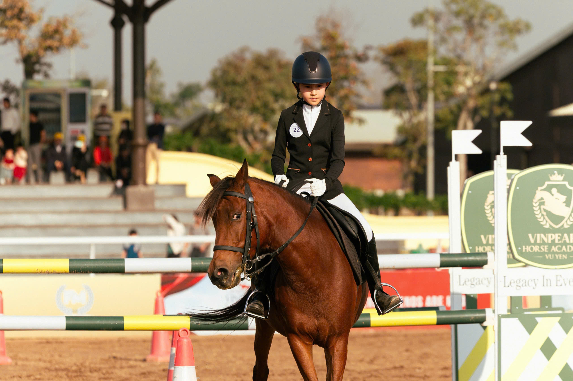 Vinpearl Equestrian Cup 2025: Bước đột phá của thể thao cưỡi ngựa Việt Nam