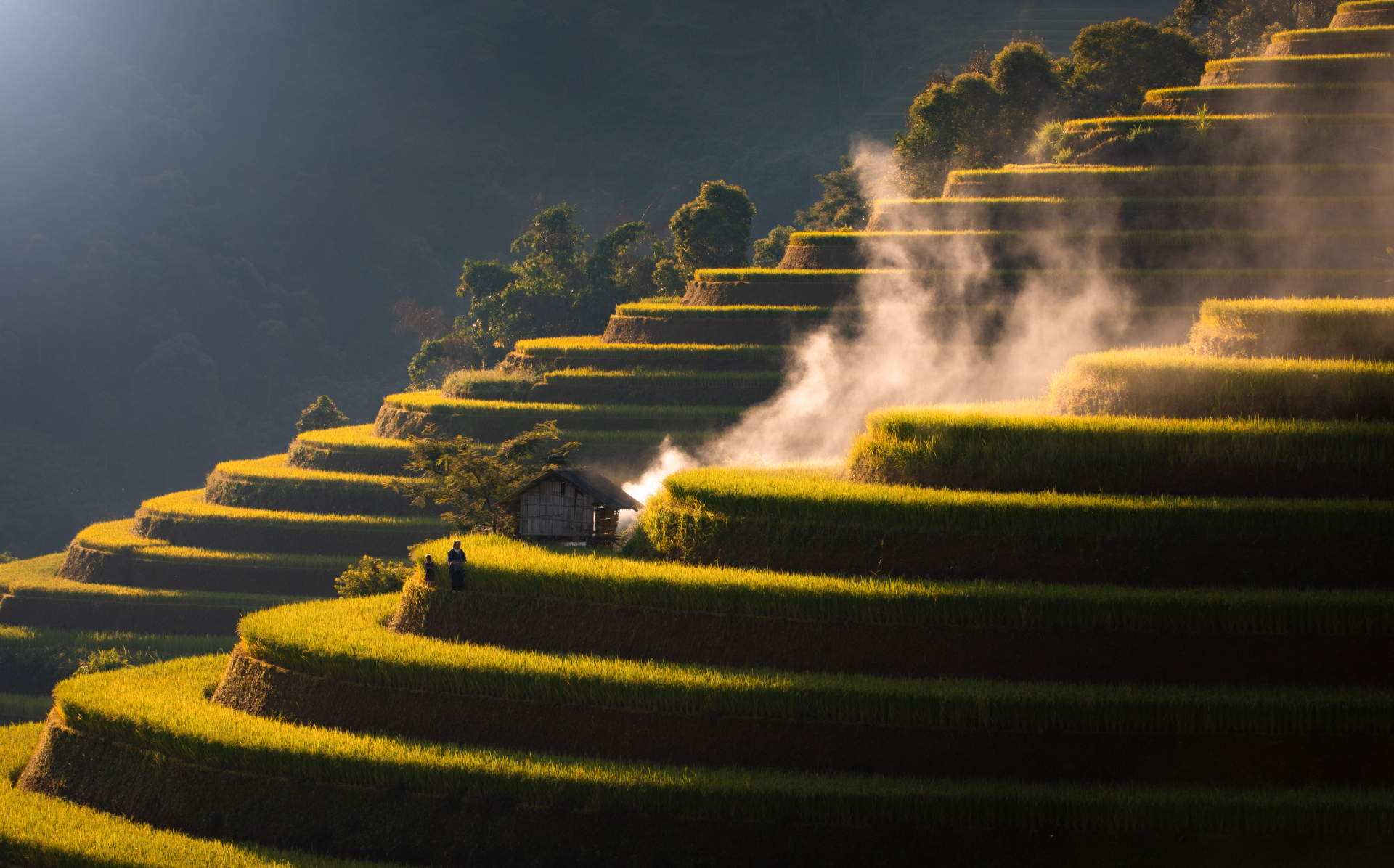 Mùa vàng ở Mù Cang Chải không chỉ đẹp bởi cảnh sắc, mà còn bởi hình ảnh con người trong lao động. Đó là những người phụ nữ gùi lúa về bản trong ánh nắng chiều, là những người đàn ông thoăn thoắt chuyển từng bó lúa trên bờ ruộng hẹp, là trẻ em theo cha mẹ ra đồng, chứng kiến mùa gặt một phần ký ức tuổi thơ gắn liền với ruộng nương. Ảnh: Quý Quang Anh