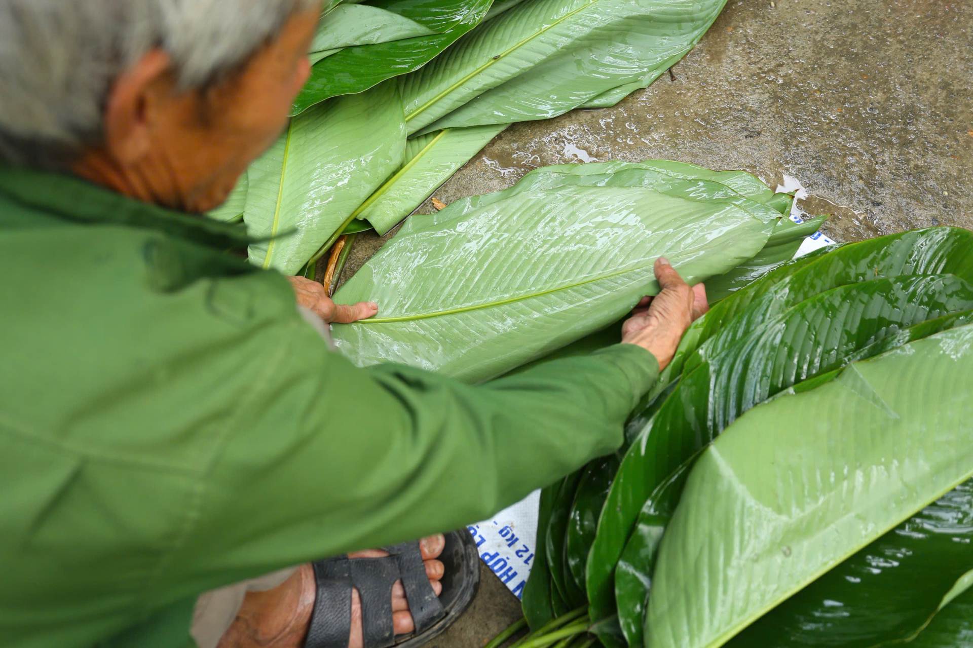 Với nhiều người Việt xa quê, những chiếc bánh chưng gói bằng lá dong quê nhà không chỉ là món ăn, mà còn là sợi dây kết nối ký ức, mang hương vị Tết truyền thống đến những nơi cách xa Tổ quốc.